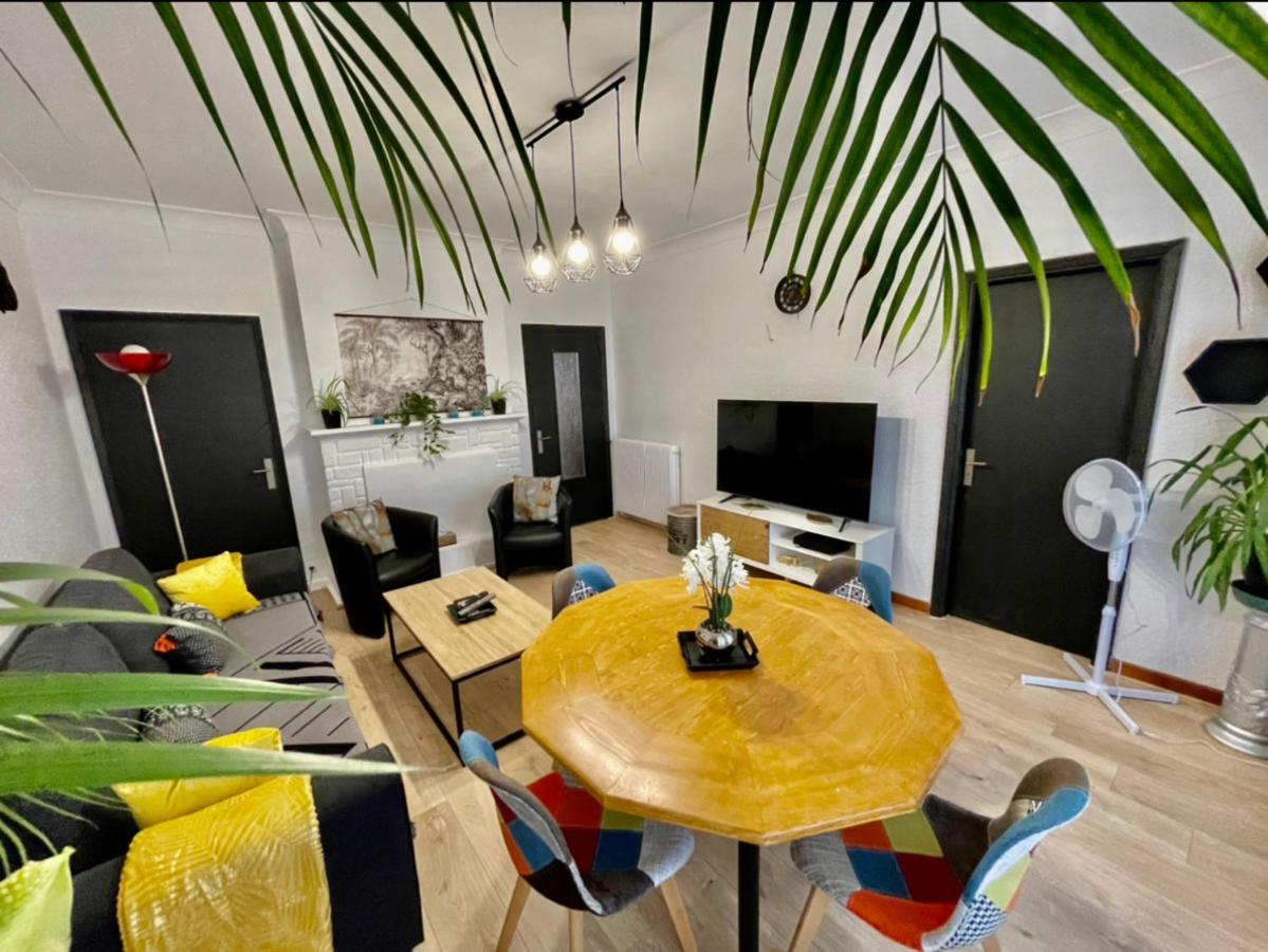 Tres Grand Appartement A 10 Min A Pied Du Centre Castres  Exterior foto