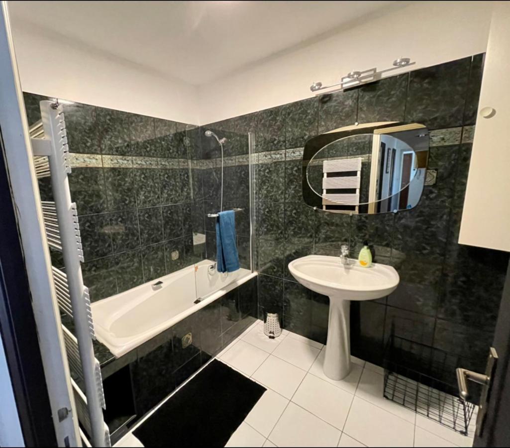 Tres Grand Appartement A 10 Min A Pied Du Centre Castres  Exterior foto