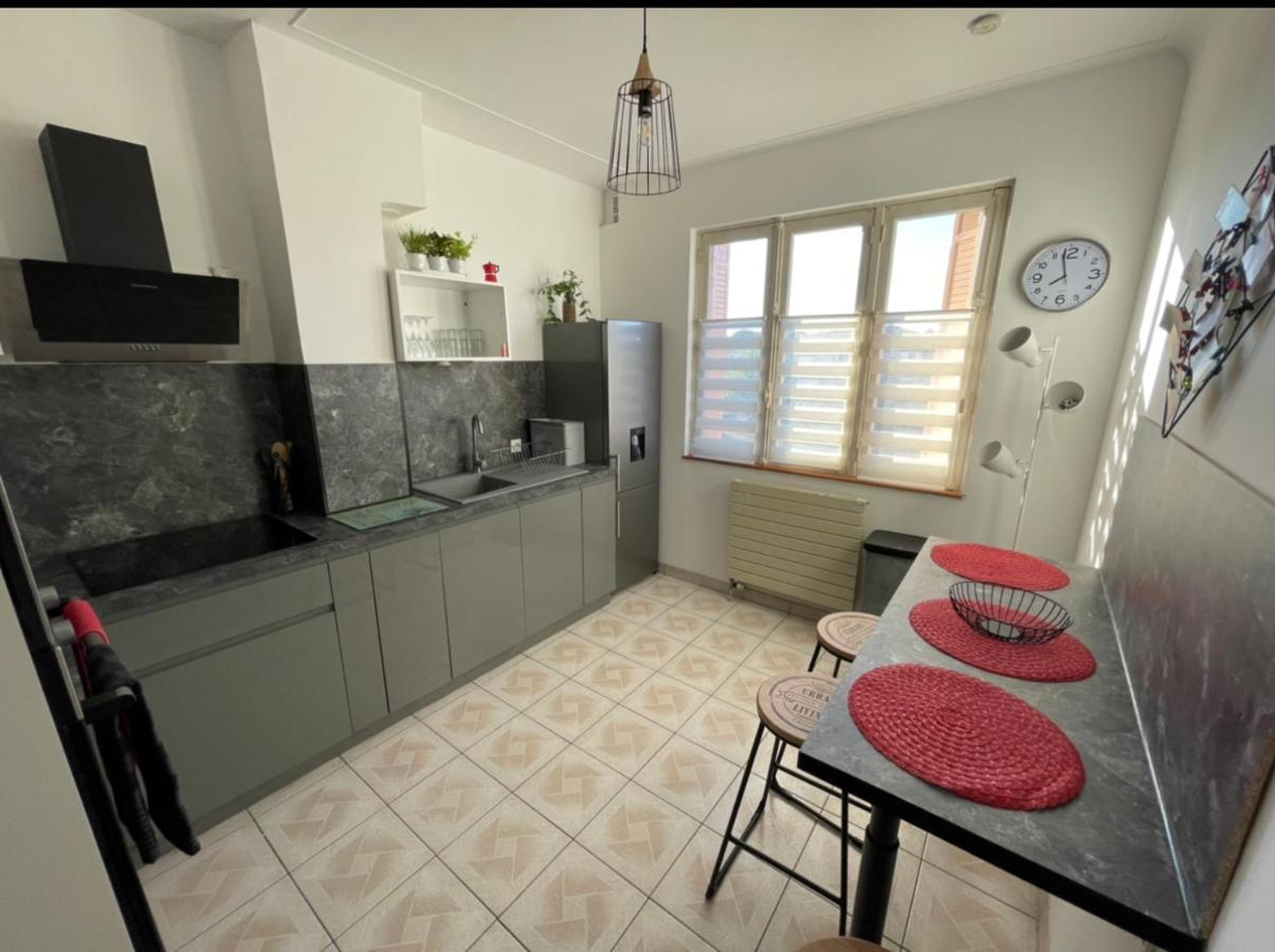 Tres Grand Appartement A 10 Min A Pied Du Centre Castres  Exterior foto