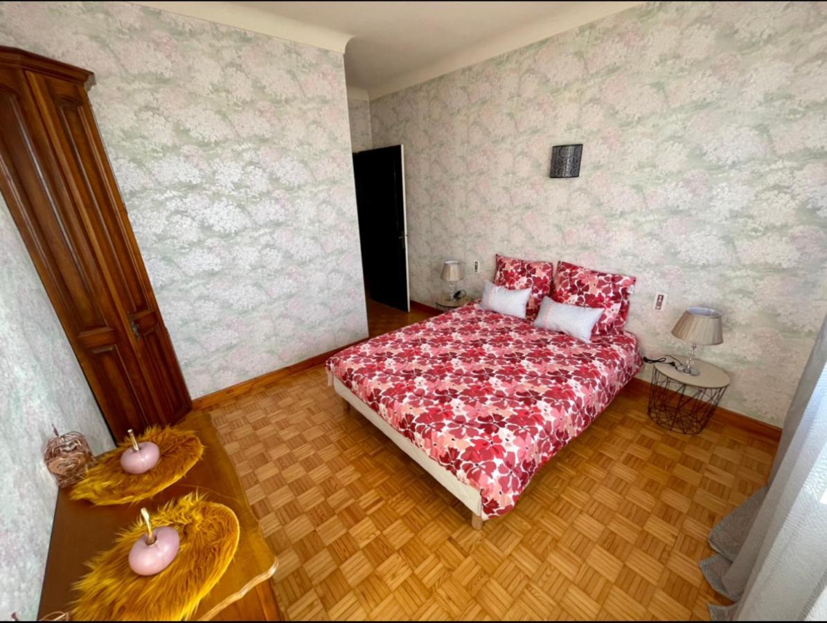 Tres Grand Appartement A 10 Min A Pied Du Centre Castres  Exterior foto